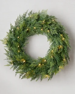 Outdoor Cedar Woods Foliage