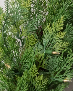 Outdoor Cedar Woods Foliage