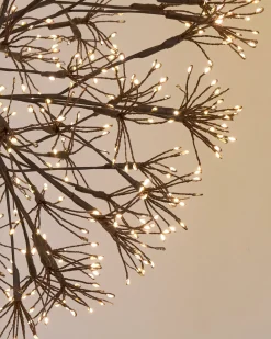 Outdoor Cluster Fairy Starburst Lights
