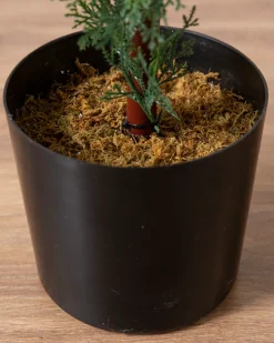 Outdoor Cypress Artificial Christmas Topiaries