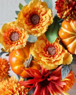 Outdoor Dahlia Festival Foliage