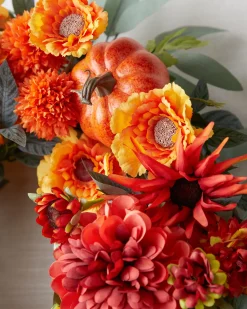 Outdoor Dahlia Festival Foliage