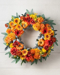 Outdoor Dahlia Festival Foliage