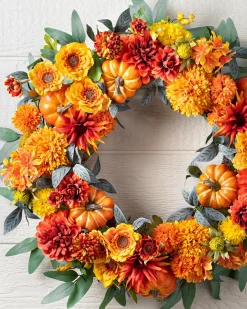 Outdoor Dahlia Festival Foliage