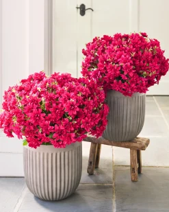 Outdoor Fluted Planters