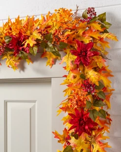 Outdoor Harvest Bloom Foliage