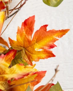 Outdoor Harvest Bloom Foliage