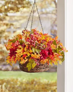 Outdoor Harvest Bloom Foliage