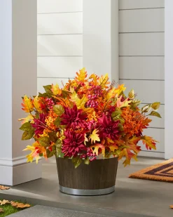 Outdoor Harvest Bloom Foliage