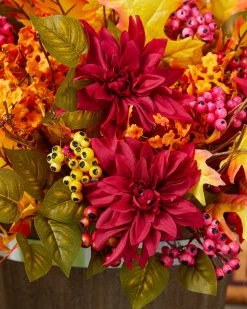 Outdoor Harvest Bloom Foliage