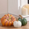 Outdoor Heirloom Pumpkins