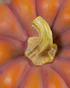 Outdoor Heirloom Pumpkins