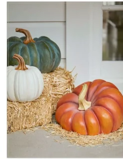 Outdoor Heirloom Pumpkins