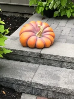 Outdoor Heirloom Pumpkins