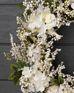 Outdoor Hydrangea Berry Foliage