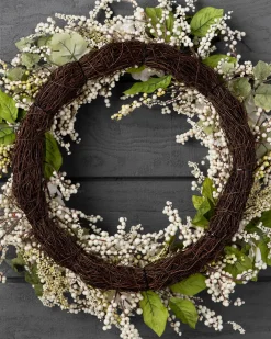 Outdoor Hydrangea Berry Foliage