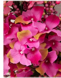 Outdoor Hydrangea Berry Foliage