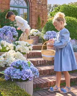 Outdoor Hydrangea Harmony Foliage
