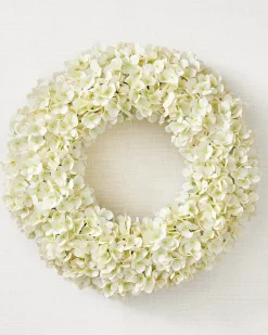 Outdoor Hydrangea Harmony Foliage