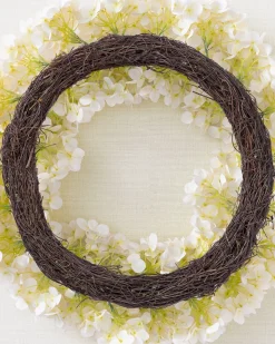 Outdoor Hydrangea Harmony Foliage