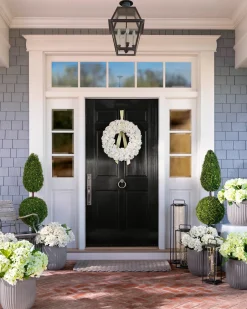 Outdoor Hydrangea Harmony Foliage