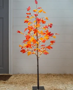Outdoor LED Lit Autumn Maple Trees