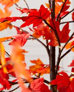 Outdoor LED Lit Autumn Maple Trees