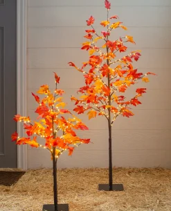 Outdoor LED Lit Autumn Maple Trees