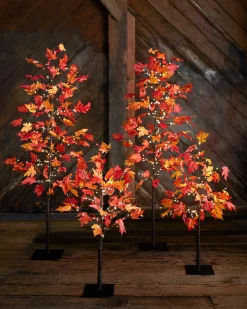 Outdoor LED Lit Autumn Maple Trees