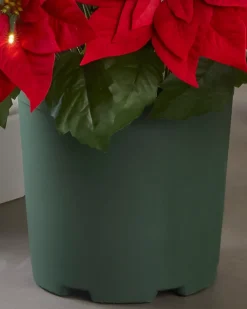 Outdoor Lit Poinsettia Celebration Foliage