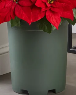 Outdoor Lit Poinsettia Celebration Foliage
