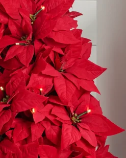 Outdoor Lit Poinsettia Celebration Foliage