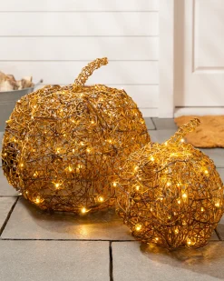 Outdoor Lit Wire Sculptures