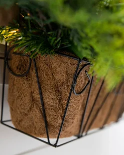 Outdoor Magnolia Ridge Foliage