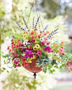 Outdoor Meadow Foliage