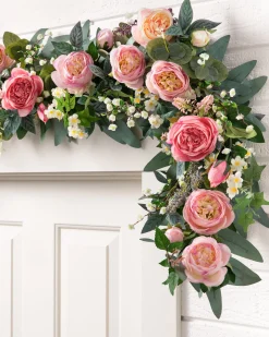 Outdoor Provence Rose Foliage