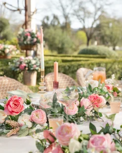 Outdoor Provence Rose Foliage