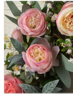 Outdoor Provence Rose Foliage