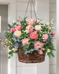 Outdoor Provence Rose Foliage