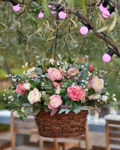 Outdoor Provence Rose Foliage