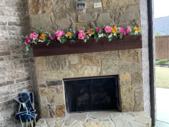 Outdoor Radiant Peony Foliage