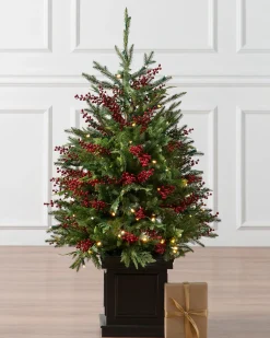 Outdoor Red Berry Evergreen Potted Trees