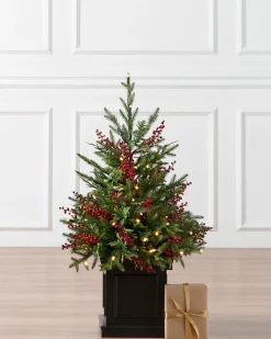 Outdoor Red Berry Evergreen Potted Trees