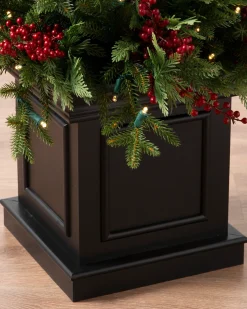 Outdoor Red Berry Evergreen Potted Trees