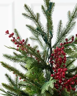 Outdoor Red Berry Evergreen Potted Trees