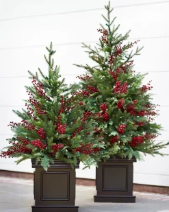 Outdoor Red Berry Evergreen Potted Trees