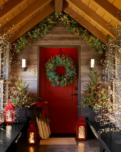 Outdoor Red Berry Evergreen Potted Trees