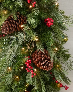 Outdoor Red Berry Pine Foliage