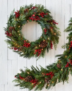 Outdoor Red Berry Pine Foliage
