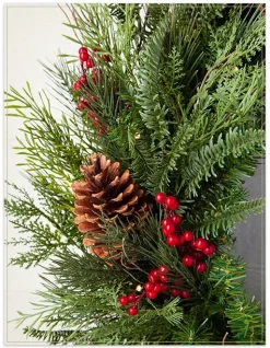 Outdoor Red Berry Pine Foliage